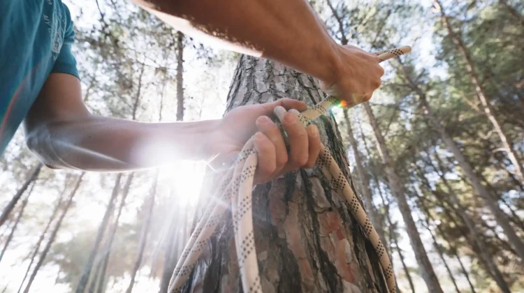 nudos para camping y bushcraft